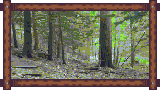 Hiking Image 1