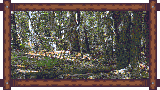 Hiking Image 3